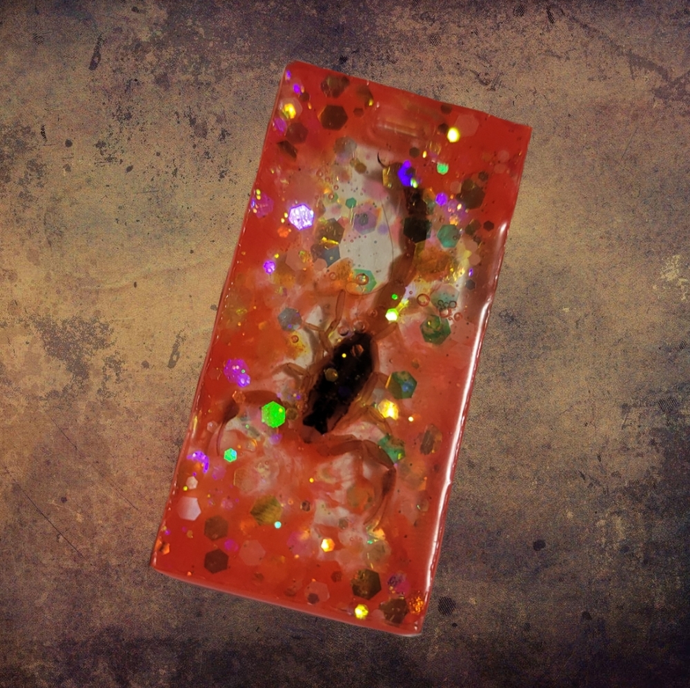 🆕️🦂 Handmade Pendant